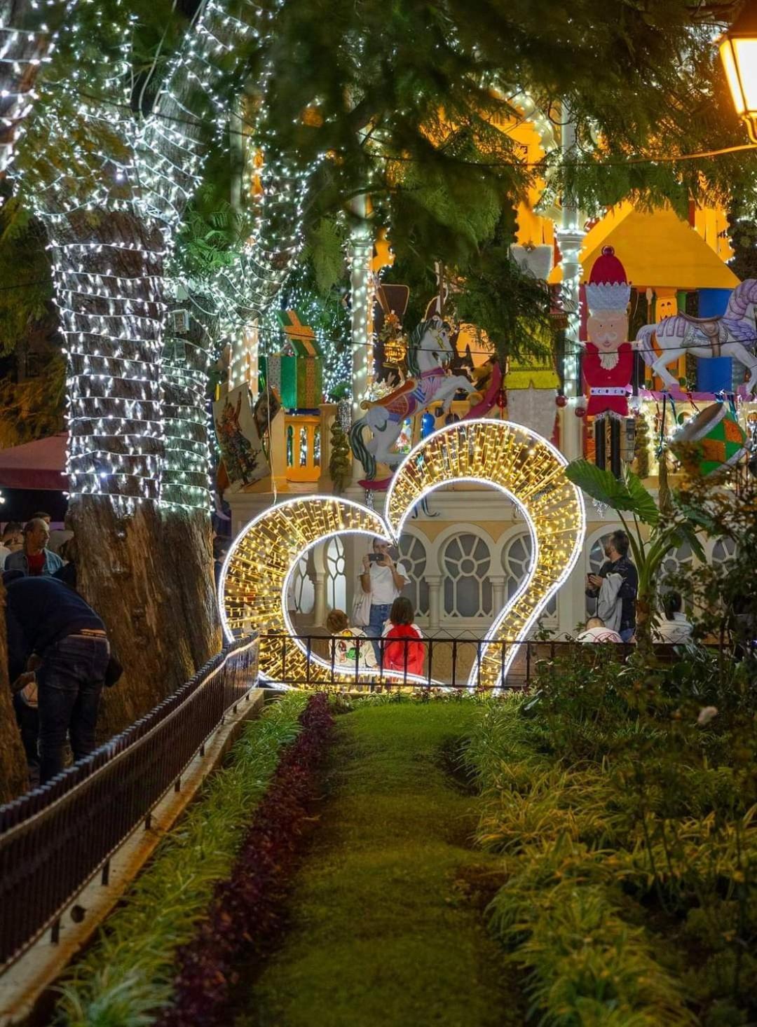 Апартаменты Casa Ruth Centro Orotava Ля Оротава Номер фото